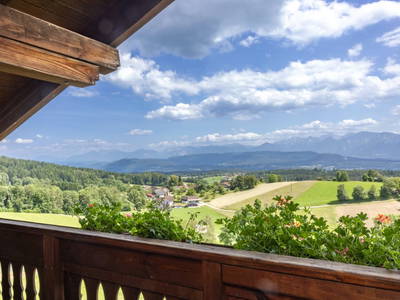 Bild 63 aus  Pleschinhof