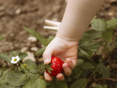 Bild 67 aus  Knappenhof