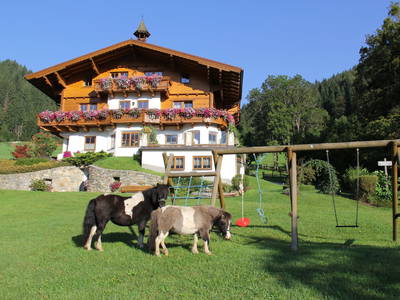 Bild 2 aus  Feldlhof