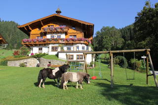 Feldlhof aus Schladming