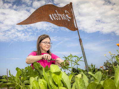 Bild 79 aus  Pointbauer