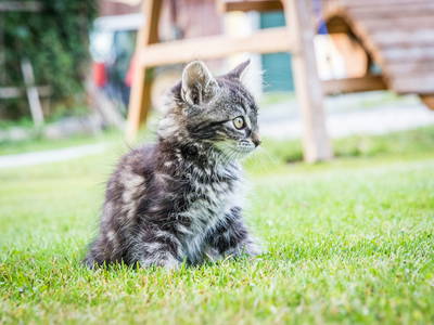 Bild 21 aus  Meuerhof - Familiär. Natürlich. Gut.