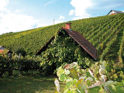 Bild 67 aus Winzerhof Klöckl