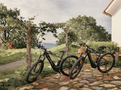 Bild 90 aus  Refugien Am WILDBACHBERG