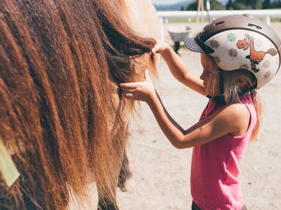Bild 2 aus  Isländerhof Köck vlg. Kristanhof