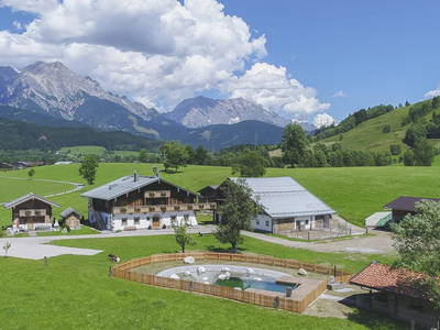 Bild 2 aus  Hoferbichlgut