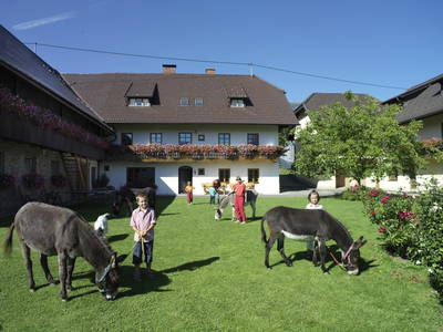 Bild 2 aus  Bauernhof Perhinig