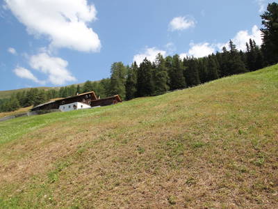 Bild 20 aus  Stableshof