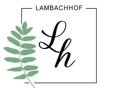 Bild 23 aus  Lambachhof