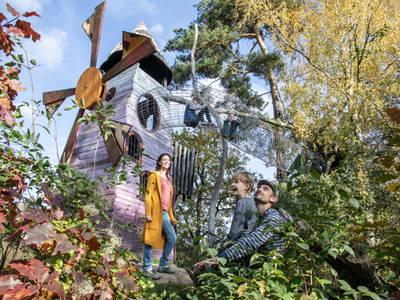 Bild 12 aus  Hanselhof 26