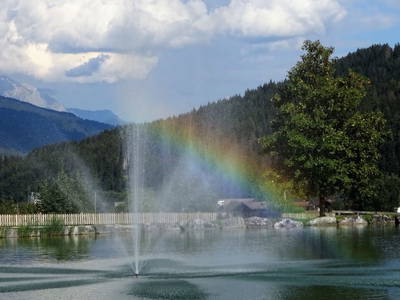 Bild 51 aus  Egglbauer