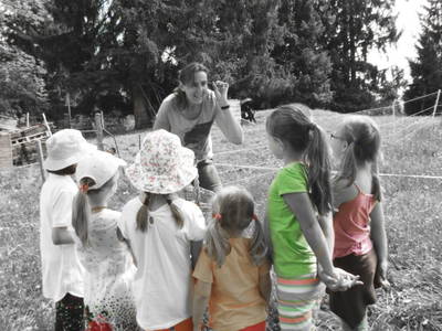 Bild 109 aus  Pesbichl