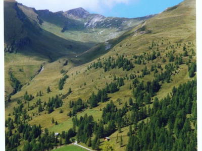 Bild 24 aus  Wansinghütte