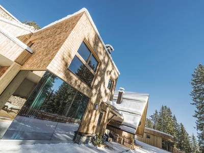 Bild 19 aus  Lichteben