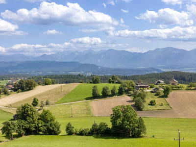 Bild 154 aus  Pleschinhof