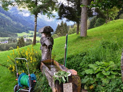 Bild 28 aus  Oberrainbauer