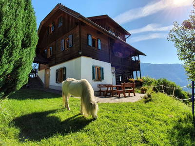 Bild 2 aus  Steinacher