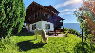 Steinacher aus Treffen am Ossiacher See