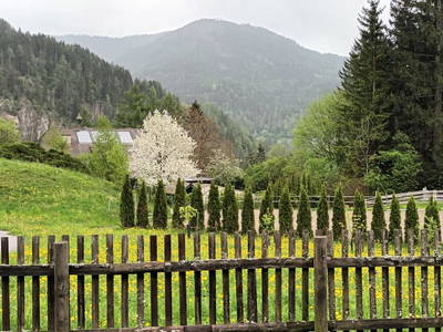 Bild 47 aus Umundum Hütte