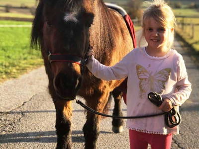 Bild 30 aus  Biobauernhof Tonimörtl