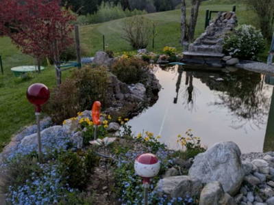 Bild 52 aus  Frühstückspension Buchner