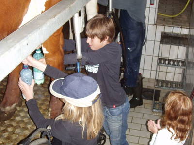 Bild 34 aus  Peilsteingut