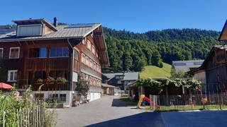 Bio-Gmeinerhof aus Bizau