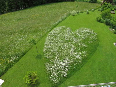 Bild 37 aus  Pension Klug