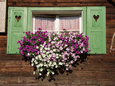 Bild 39 aus  Albachhof