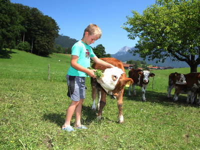 Bild 11 aus  Wimmerhof