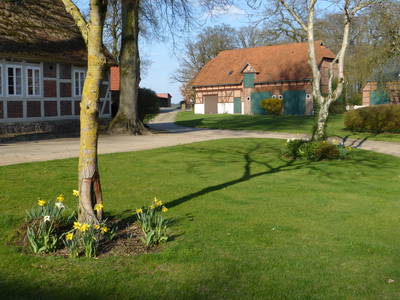Der Innenhof mit Blick auf Wohnung 5