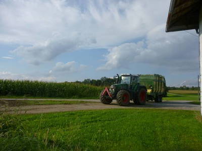 Bild 4 aus  Baierhof