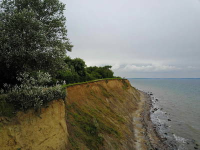 Bild 29 aus  Gestüt Hof am See