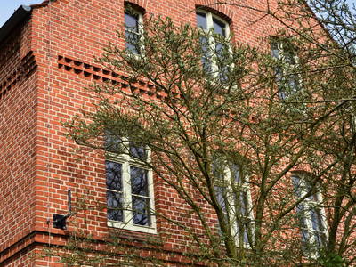 Bild 23 aus  An Den Wiesen - Gasthaus am Finowkanal