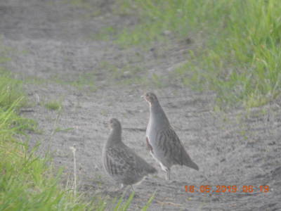 Bild 7 aus  Gut Burghof