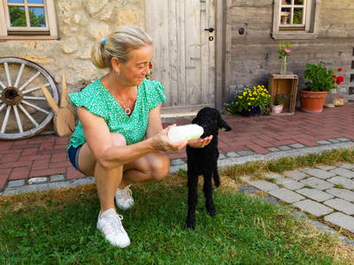 Bild 24 aus  Camping am Hofweiher beim Brunnerhof