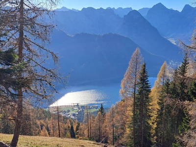 Bild 30 aus  Naturetouch -  Deine Kraftquelle in Steinberg am Rofan