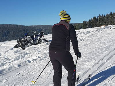 Bild 25 aus  Farnbauernhof