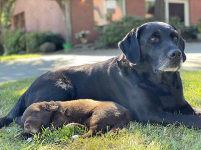 Bild 10 aus  Hof Buddenkotte