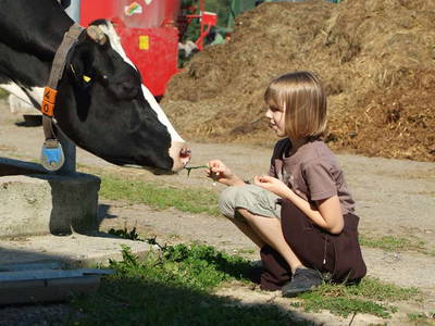 Bild 14 aus  Bauernhof Büchsenschütz