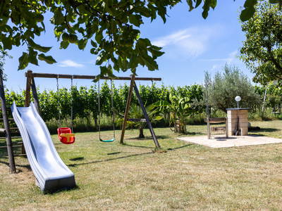 Bild 9 aus  Weingut Winnebeck inmitten der Weinberge