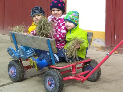 Bild 7 aus  Schmidts Ferienhof - Tierisch guter Urlaub im Herzen Deutschlands