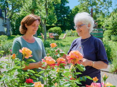 Bild 12 aus  Ferienweingut Willems, Maria Willems