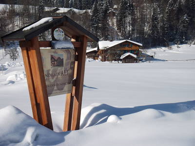 Bild 28 aus  Landhaus Alt mit  Bauernhof* Gesundes Wohnen In Freier Natur* Tolle-Angebote *Bergbahn Unlimited*