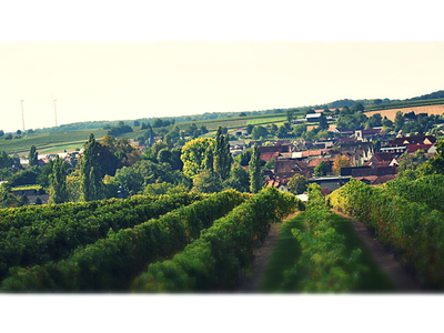 Bild 13 aus  Ferienhaus Am Steingebiss