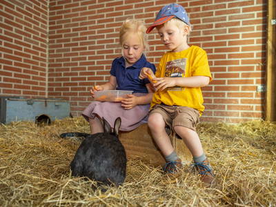 Bild 3 aus  Familienhof Brüning – Erlebnishofurlaub mit Tieren für Familien im Emsland