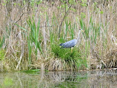 Bild 31 aus  FerienGut Dalwitz     www.feriengutdalwitz.de
