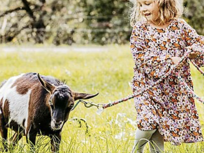 Bild 22 aus  Streuobst Chalets