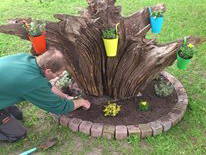 Bild 15 aus  Ferienhof Haselheide