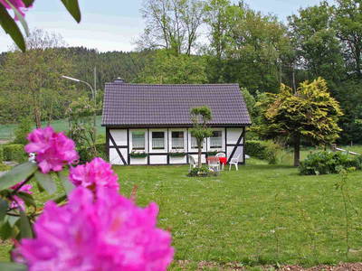 Bild 3 aus  Jagdhaus Hof Peitz